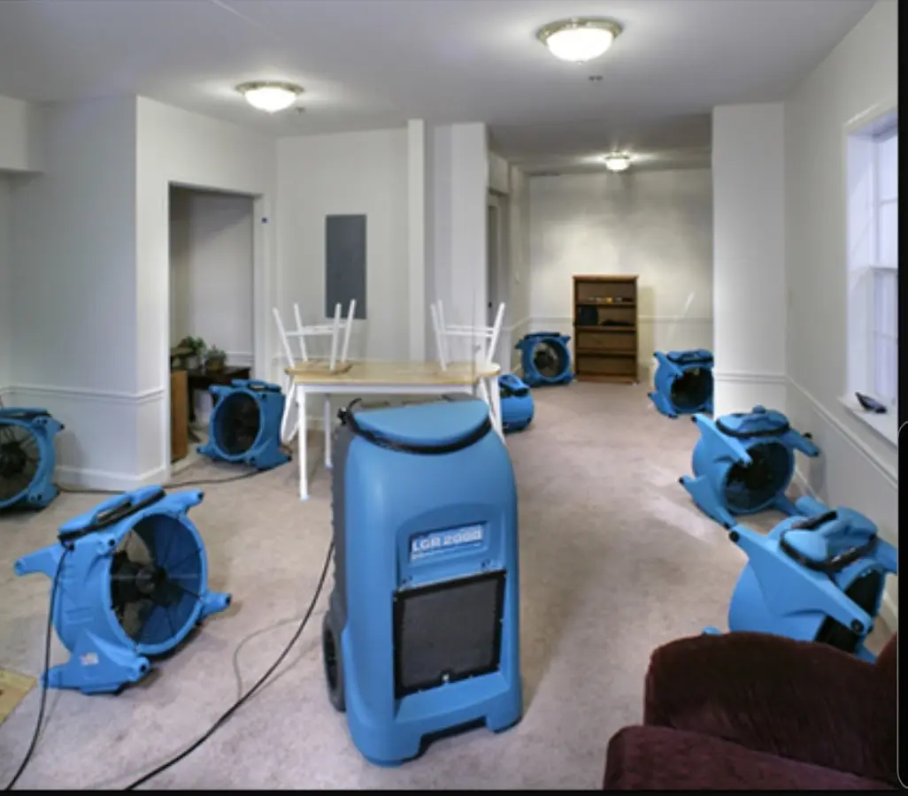 Air movers and dehumidifier setup for Water Extraction & Removal in Paradise