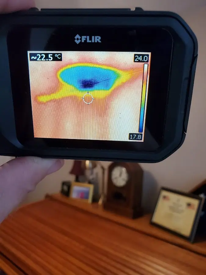 Thermal imaging inspection for water damage in Paradise